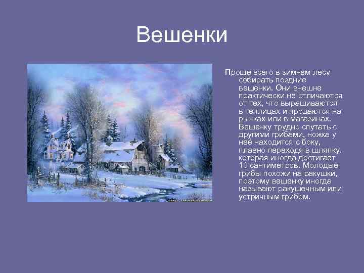 Вешенки Проще всего в зимнем лесу собирать поздние вешенки. Они внешне практически не отличаются