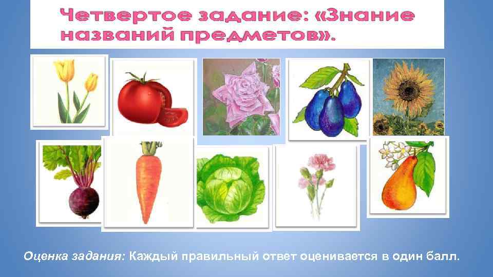 Оценка задания: Каждый правильный ответ оценивается в один балл. 