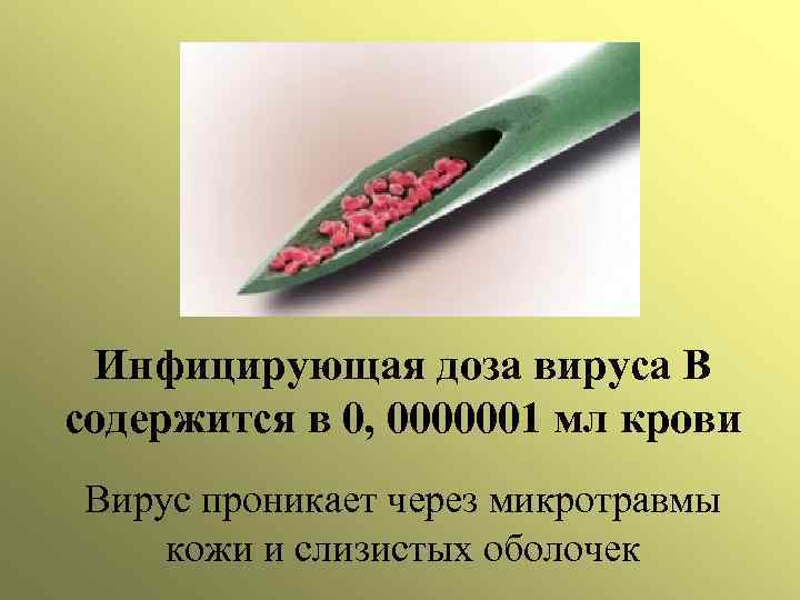 Инфицирующая доза вируса В содержится в 0, 0000001 мл крови Вирус проникает через микротравмы