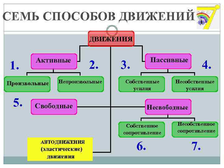 СЕМЬ СПОСОБОВ ДВИЖЕНИЙ ДВИЖЕНИЯ 1. Активные Ак Произвольные 5. 2. Непроизвольные Пассивные 3. Собственные