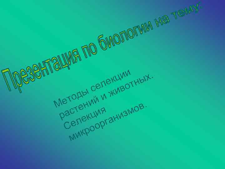 ции ных. лек вот се и ды и ж ето ний М те ов.