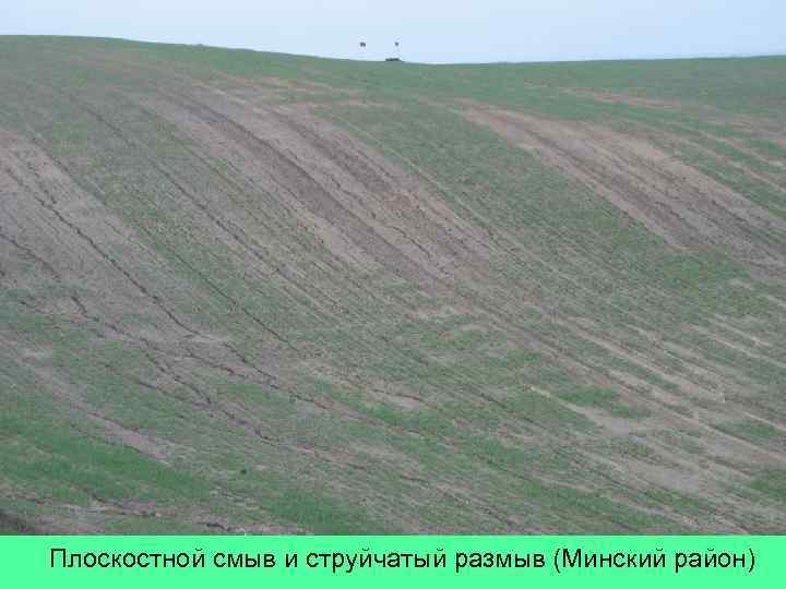 Плоскостной смыв и струйчатый размыв (Минский район) 