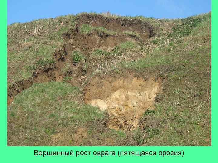 Вершинный рост оврага (пятящаяся эрозия) 