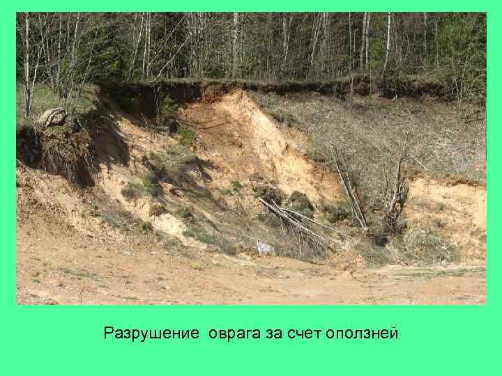 Разрушение оврага за счет оползней 