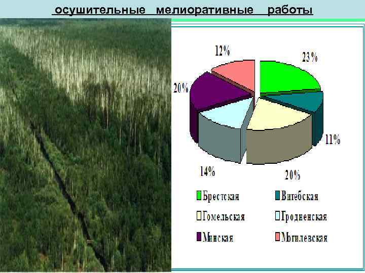 осушительные мелиоративные работы 