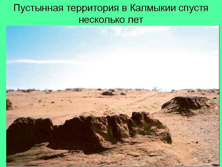 Пустынная территория в Калмыкии спустя несколько лет 