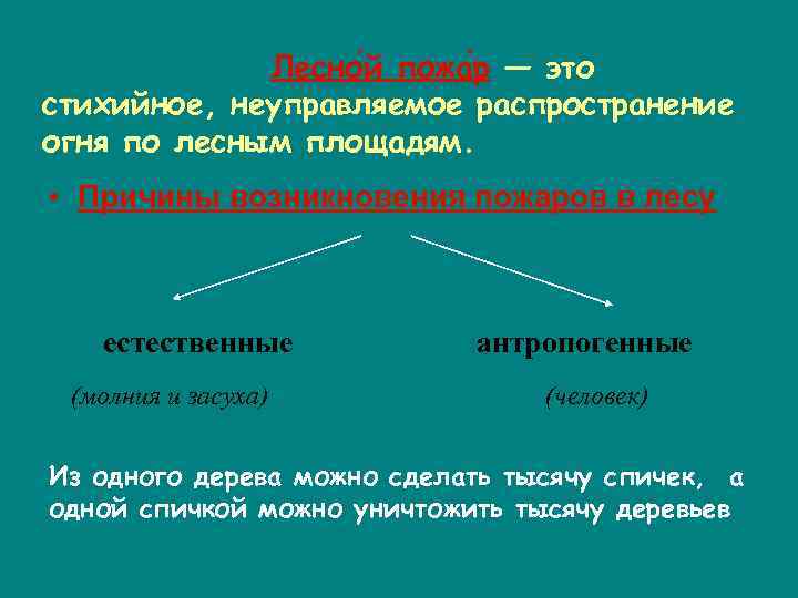 Лесно й пожа р — это стихийное, неуправляемое распространение огня по лесным площадям. •