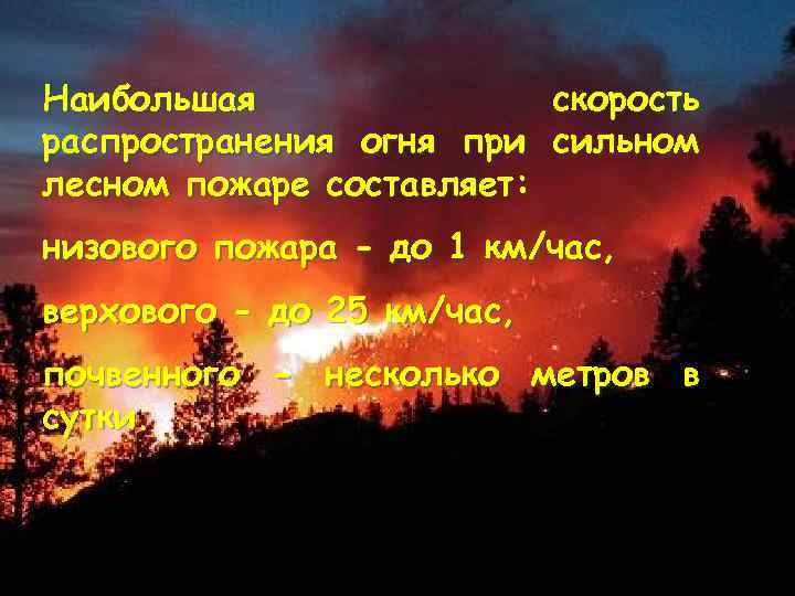 Наибольшая скорость распространения огня при сильном лесном пожаре составляет: низового пожара - до 1