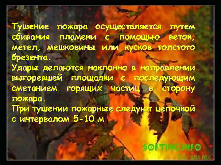 Тушение пожара осуществляется путем сбивания пламени с помощью веток, метел, мешковины или кусков толстого