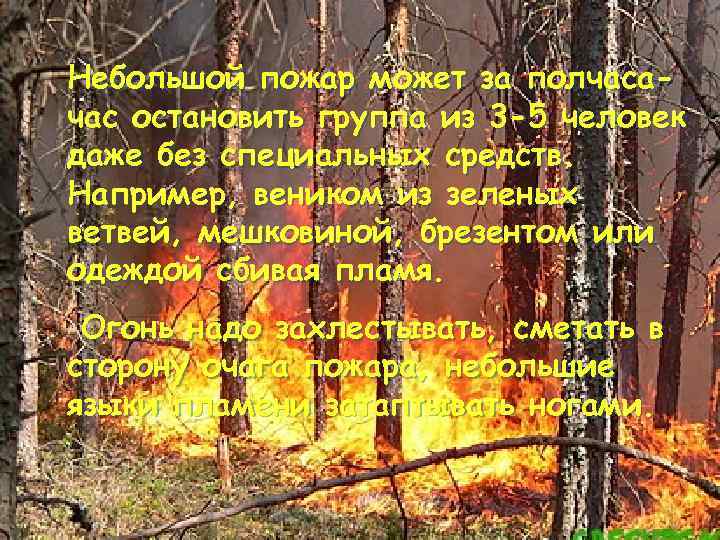 Небольшой пожар может за полчасачас остановить группа из 3 -5 человек даже без специальных