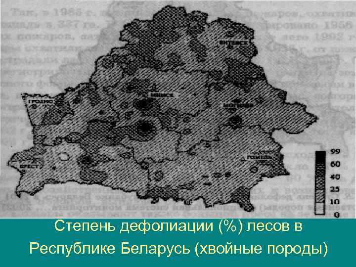 Степень дефолиации (%) лесов в Республике Беларусь (хвойные породы) 