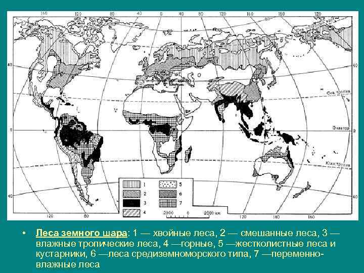  • Леса земного шара: 1 — хвойные леса, 2 — смешанные леса, 3