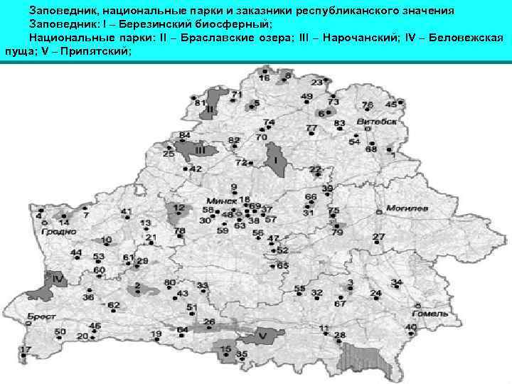 Карта заповедников беларуси