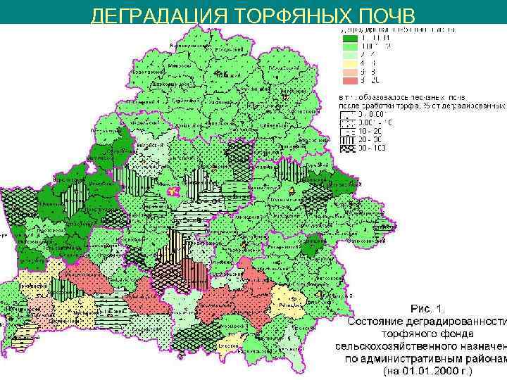 ДЕГРАДАЦИЯ ТОРФЯНЫХ ПОЧВ 