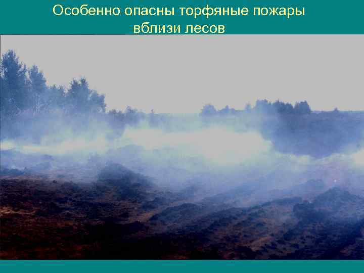 Особенно опасны торфяные пожары вблизи лесов 