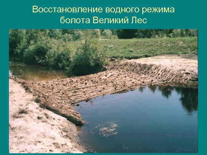 Восстановление водного режима болота Великий Лес 