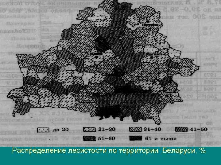 Распределение лесистости по территории Беларуси, % 