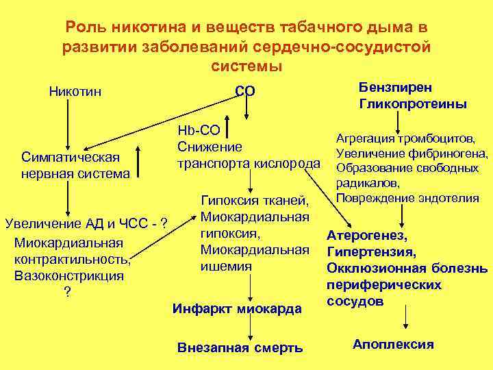 Роль никотина и веществ табачного дыма в развитии заболеваний сердечно-сосудистой системы Никотин Симпатическая нервная