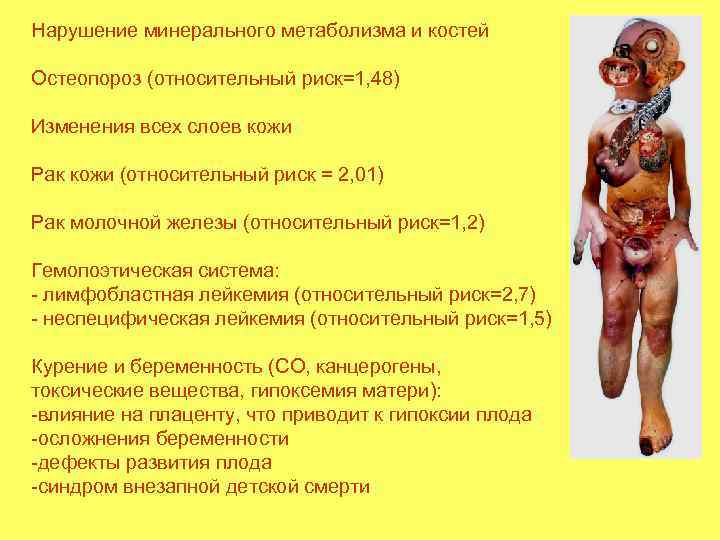 Нарушение минерального метаболизма и костей Остеопороз (относительный риск=1, 48) Изменения всех слоев кожи Рак