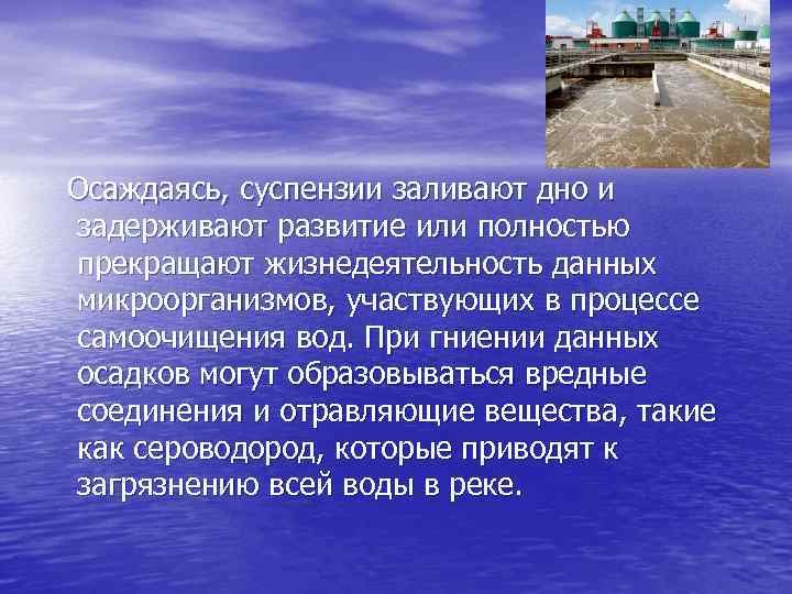 Осаждаясь, суспензии заливают дно и задерживают развитие или полностью прекращают жизнедеятельность данных микроорганизмов, участвующих