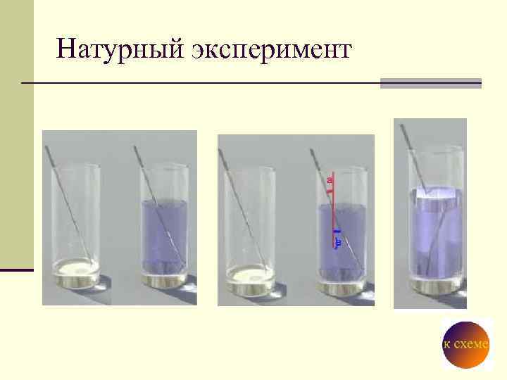 Натурный эксперимент 