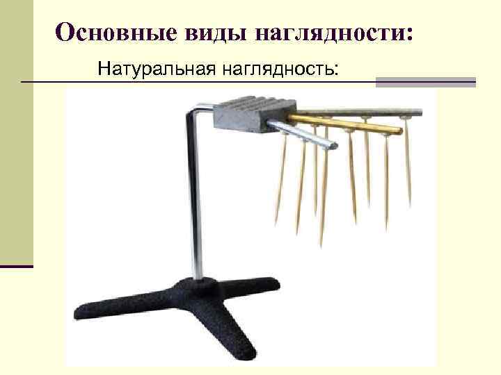 Основные виды наглядности: Натуральная наглядность: 