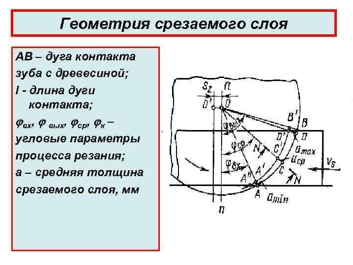 Геометрия срезаемого слоя АВ – дуга контакта зуба с древесиной; l - длина дуги