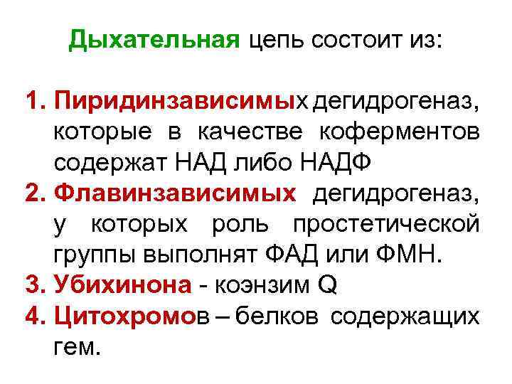 Дыхательная цепь состоит из: 1. Пиридинзависимых дегидрогеназ, которые в качестве коферментов содержат НАД либо