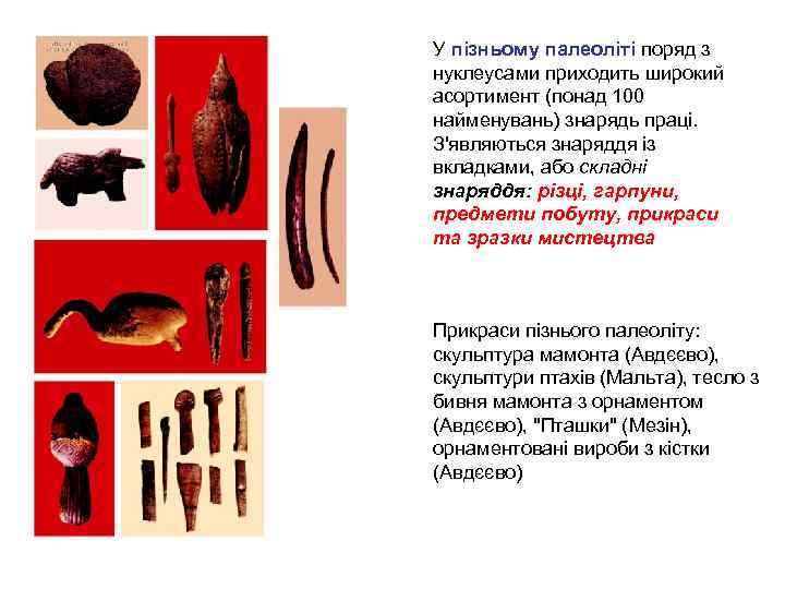 У пізньому палеоліті поряд з нуклеусами приходить широкий асортимент (понад 100 найменувань) знарядь праці.