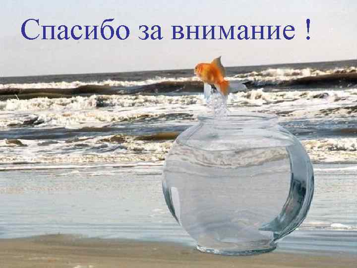 Спасибо за внимание ! 58 