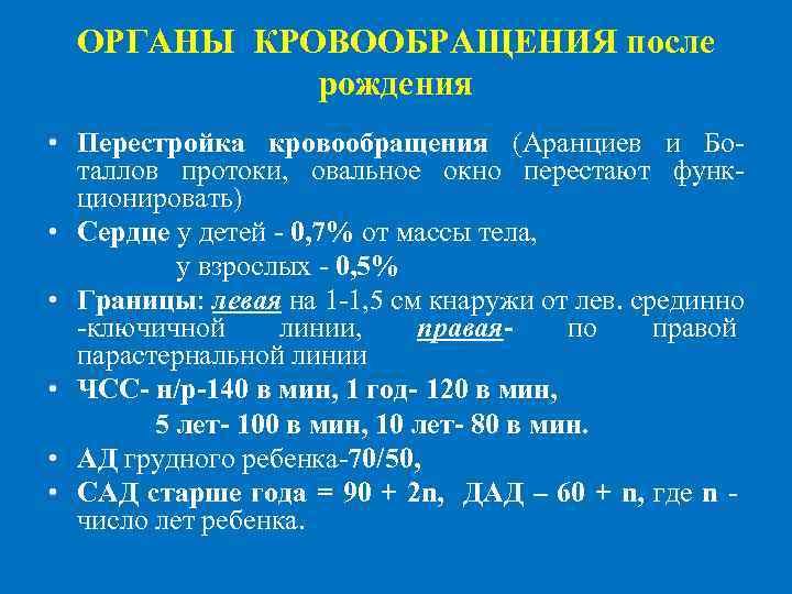 ОРГАНЫ КРОВООБРАЩЕНИЯ после рождения • Перестройка кровообращения (Аранциев и Боталлов протоки, овальное окно перестают