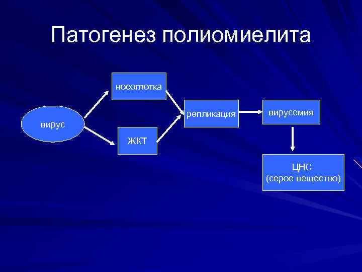 Менингококковая инфекция патогенез схема