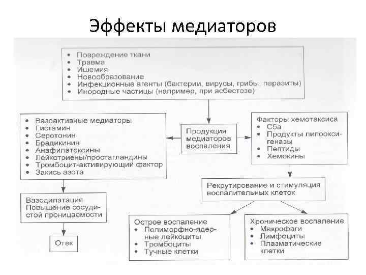 Эффекты медиаторов 
