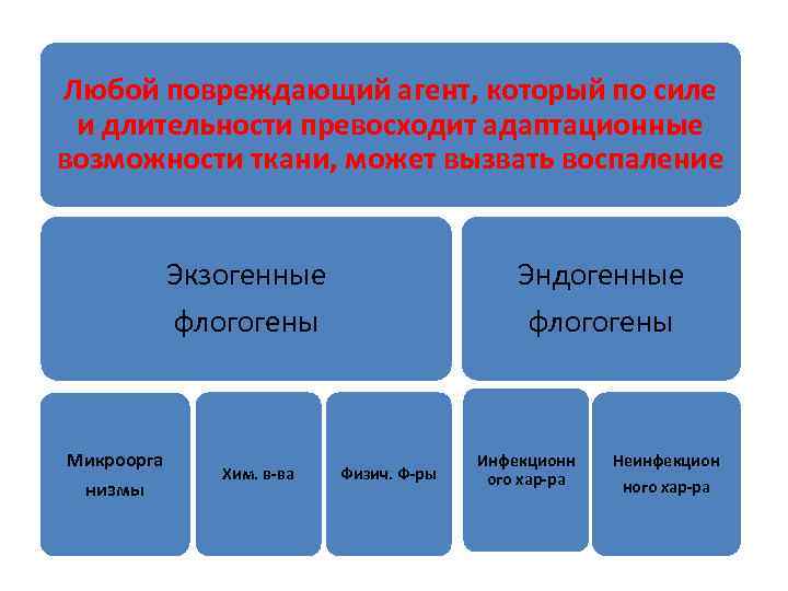 Любой повреждающий агент, который по силе и длительности превосходит адаптационные возможности ткани, может вызвать