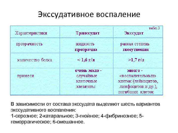 Состав гнойного экссудата