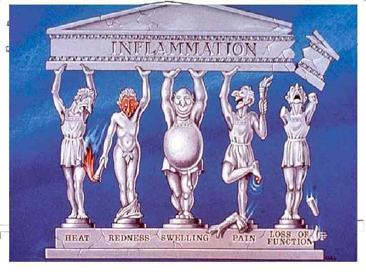 Пять классических признаков воспаления – К. Х. Бидструп (1943) 