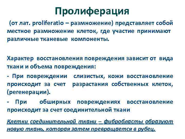 Пролиферация (от лат. рroliferatio – размножение) представляет собой местное размножение клеток, где участие принимают