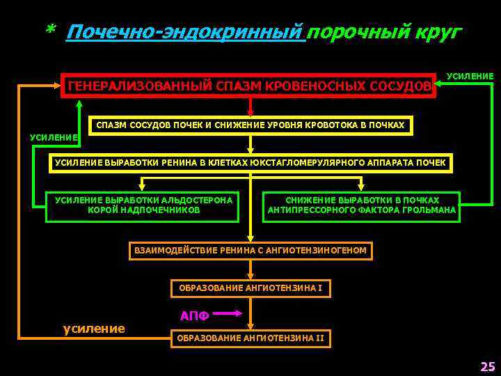 * Почечно-эндокринный порочный круг ГЕНЕРАЛИЗОВАННЫЙ СПАЗМ КРОВЕНОСНЫХ СОСУДОВ УСИЛЕНИЕ СПАЗМ СОСУДОВ ПОЧЕК И СНИЖЕНИЕ