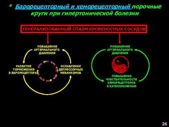 * Барорецепторный и хеморецепторный порочные круги при гипертонической болезни ГЕНЕРАЛИЗОВАННЫЙ СПАЗМ КРОВЕНОСНЫХ СОСУДОВ ПОВЫШЕНИЕ