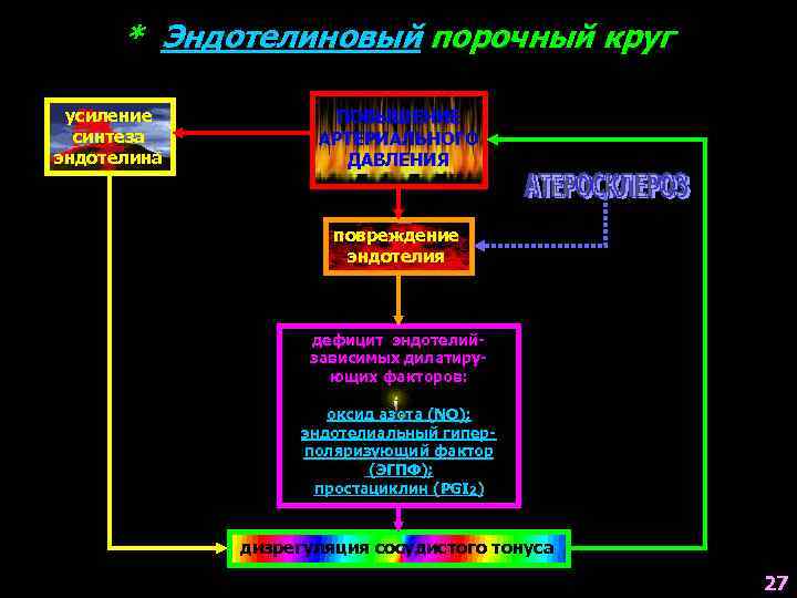 * Эндотелиновый порочный круг усиление синтеза эндотелина ПОВЫШЕНИЕ АРТЕРИАЛЬНОГО ДАВЛЕНИЯ повреждение эндотелия дефицит эндотелийзависимых