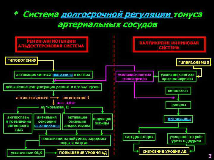 * Система долгосрочной регуляции тонуса артериальных сосудов РЕНИН-АНГИОТЕНЗИН АЛЬДОСТЕРОНОВАЯ СИСТЕМА КАЛЛИКРЕИН-КИНИНОВАЯ СИСТЕМА ГИПОВОЛЕМИЯ ГИПЕРВОЛЕМИЯ