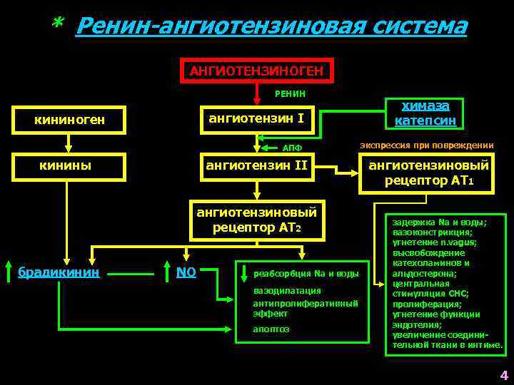 * Ренин-ангиотензиновая система АНГИОТЕНЗИНОГЕН РЕНИН ангиотензин I кининоген АПФ кинины ангиотензин II ангиотензиновый рецептор