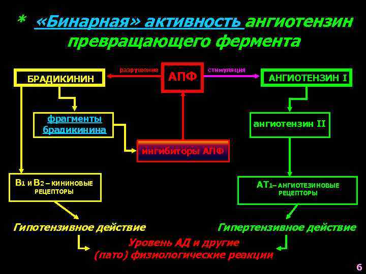 Антитела к брадикинину