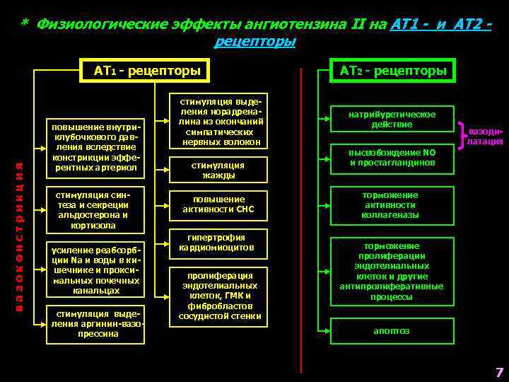 * Физиологические эффекты ангиотензина II на АТ 1 - и АТ 2 рецепторы вазоконстрикция