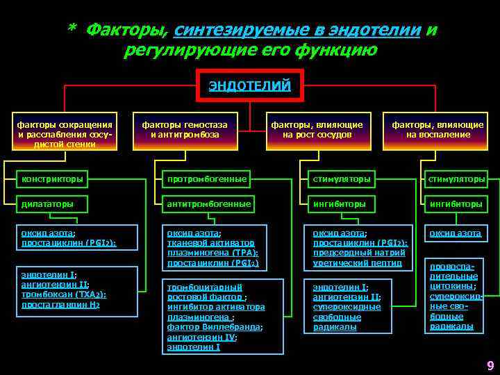 * Факторы, синтезируемые в эндотелии и регулирующие его функцию ЭНДОТЕЛИЙ факторы сокращения и расслабления