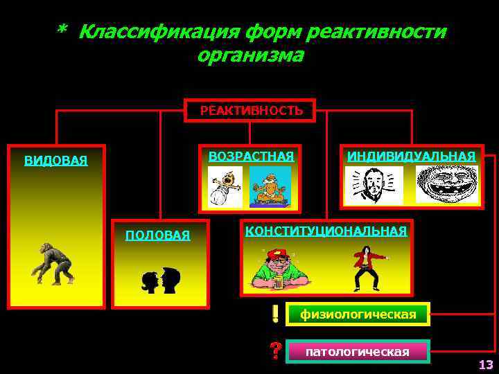 * Классификация форм реактивности организма РЕАКТИВНОСТЬ ВОЗРАСТНАЯ ВИДОВАЯ ПОЛОВАЯ ИНДИВИДУАЛЬНАЯ КОНСТИТУЦИОНАЛЬНАЯ физиологическая патологическая 13