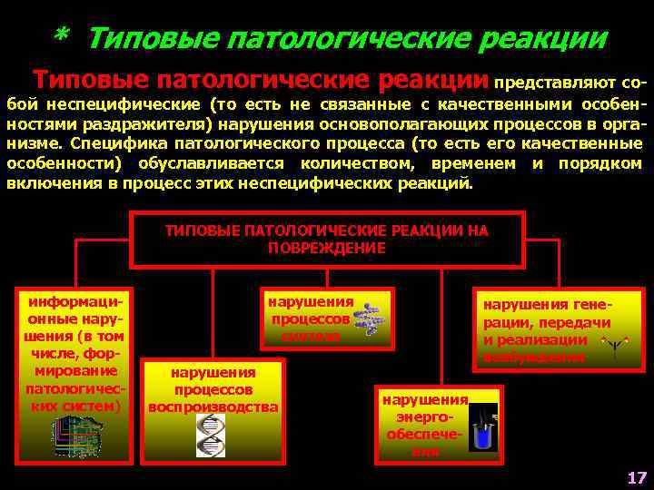 * Типовые патологические реакции представляют со- бой неспецифические (то есть не связанные с качественными