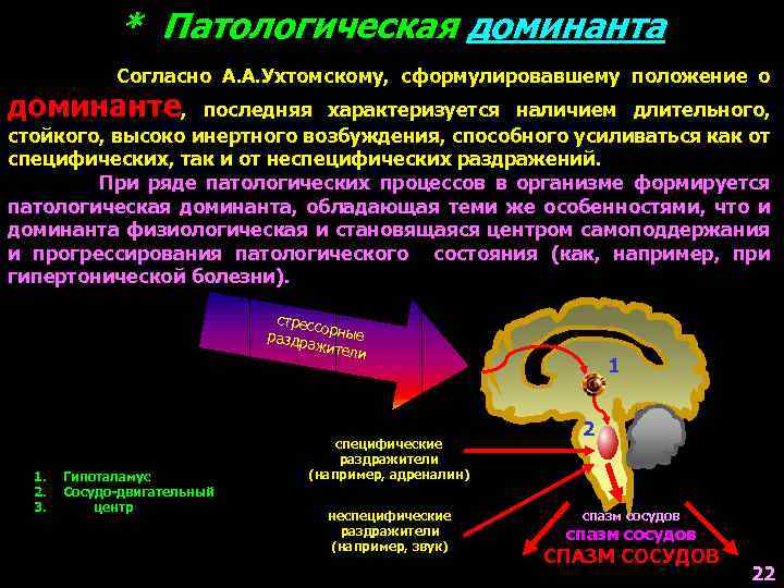 * Патологическая доминанта Согласно А. А. Ухтомскому, сформулировавшему положение о доминанте, последняя характеризуется наличием