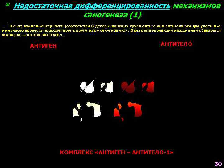 * Недостаточная дифференцированность механизмов саногенеза (1) В силу комплиментарности (соответствия) детерминантных групп антигена и