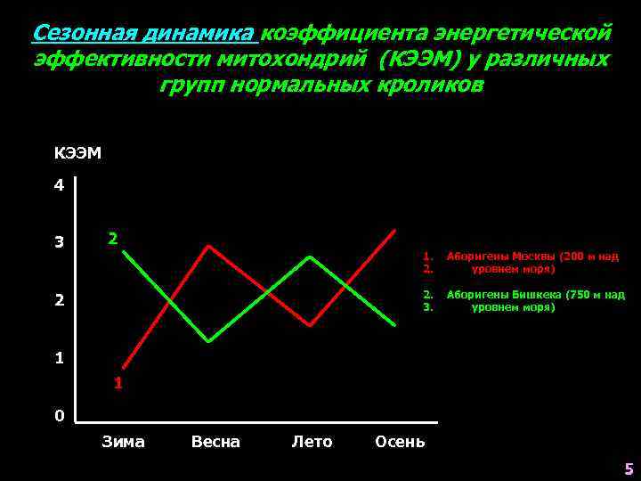 Сезонная динамика коэффициента энергетической эффективности митохондрий (КЭЭМ) у различных групп нормальных кроликов КЭЭМ 4